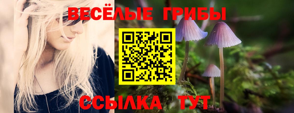 закладки  Вход с VPN  Ейск  Псилоцибиновые грибы Magic Shrooms 