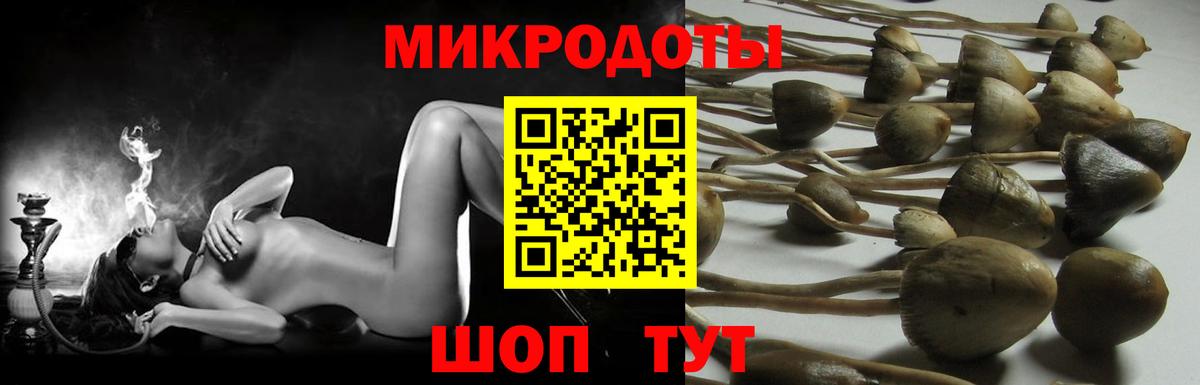 Псилоцибиновые грибы мицелий Ейск